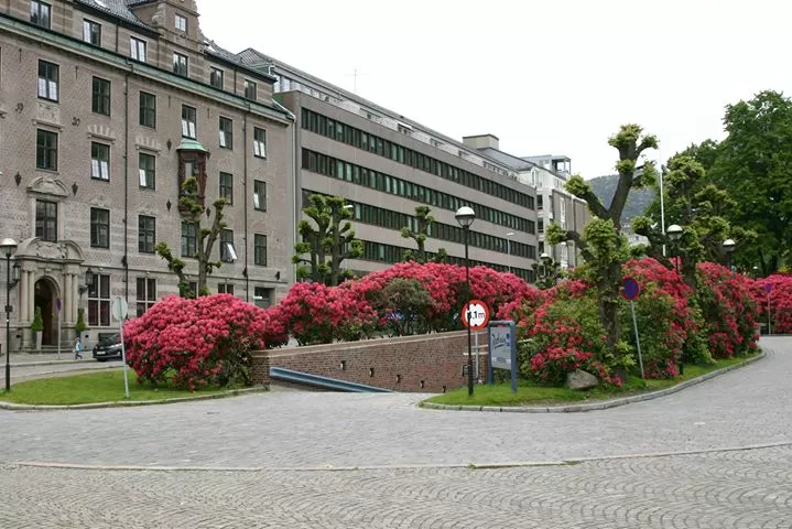 Photo of Bergen By Rick A