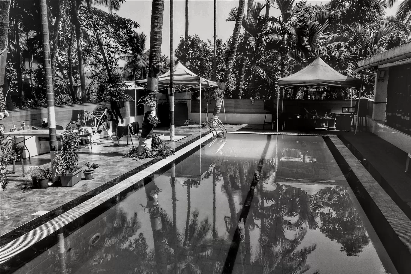 Photo of Parmar Farms By Suyash Saxena