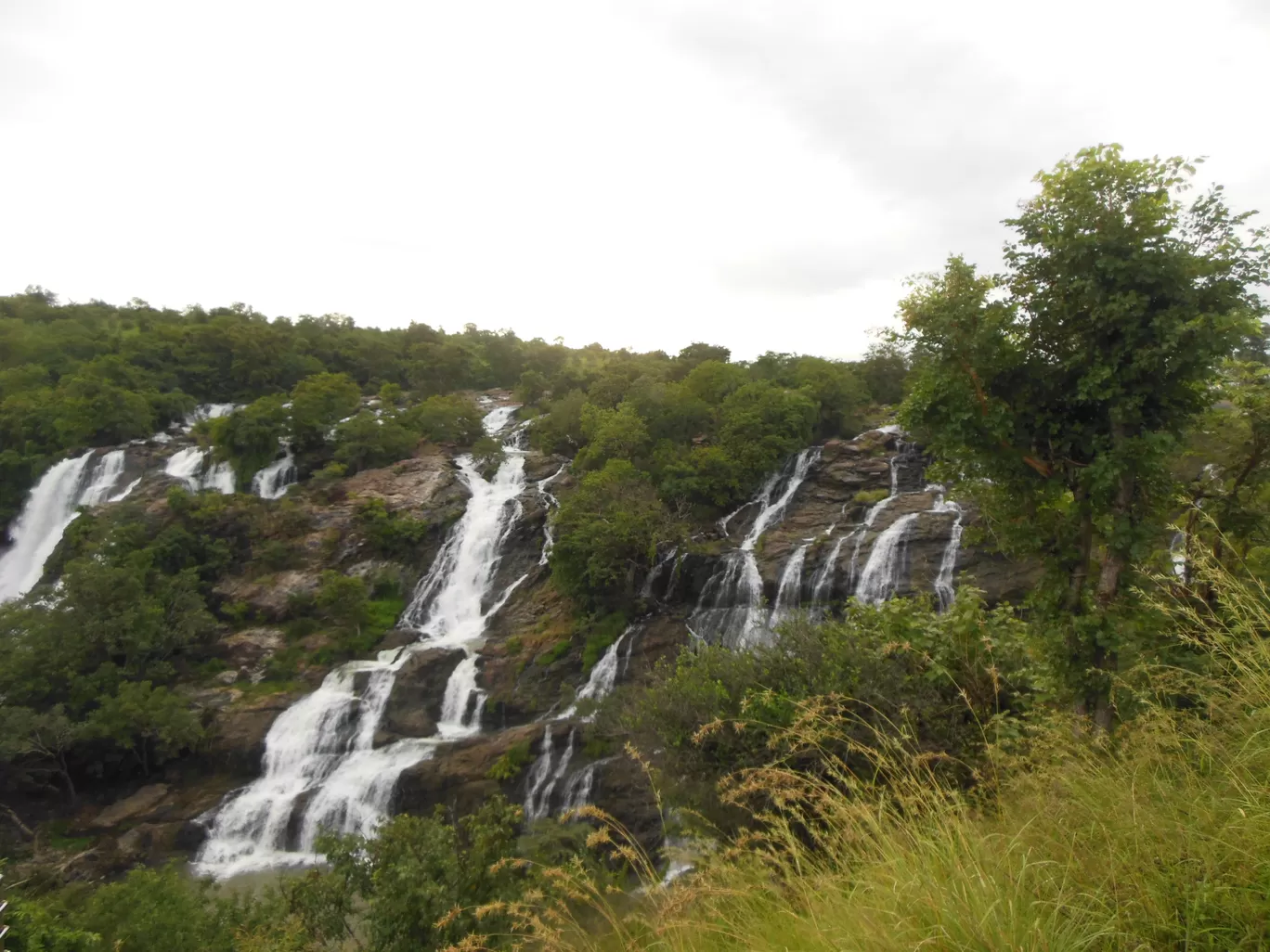 Photo of Barachukki Waterfalls By Nithin S P 