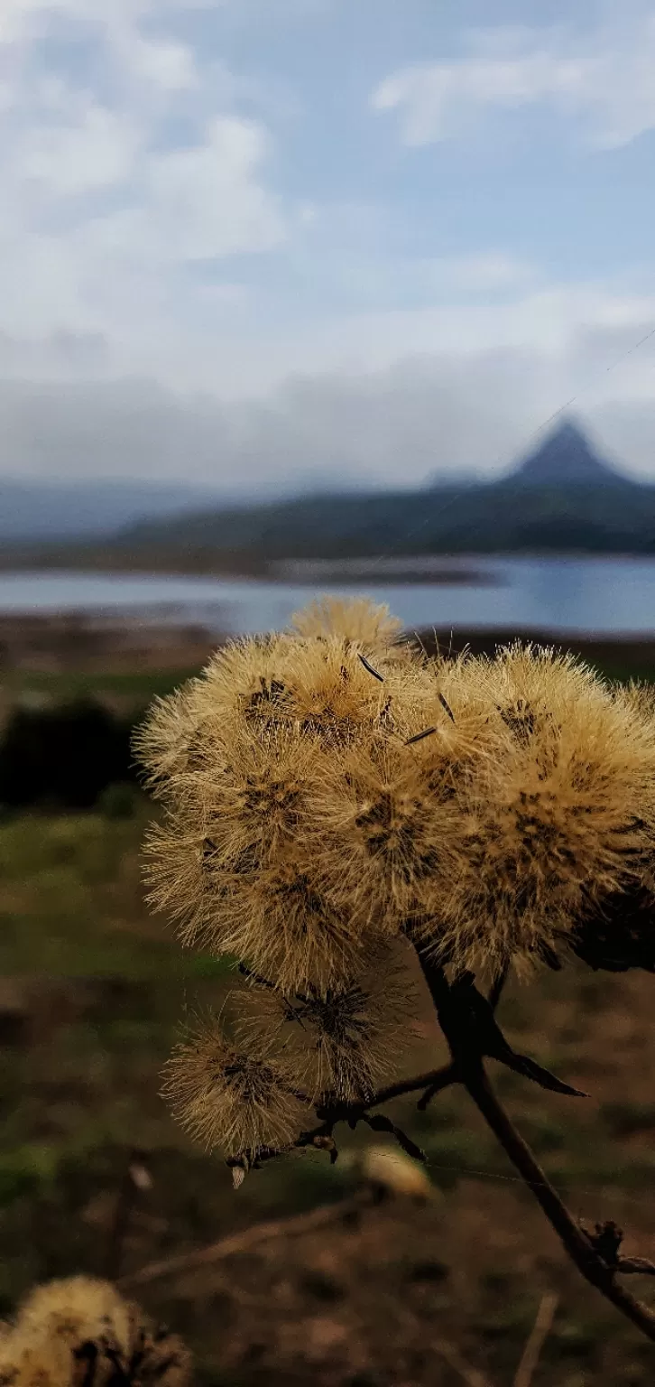 Photo of Lonavala By Lakshya Pawa