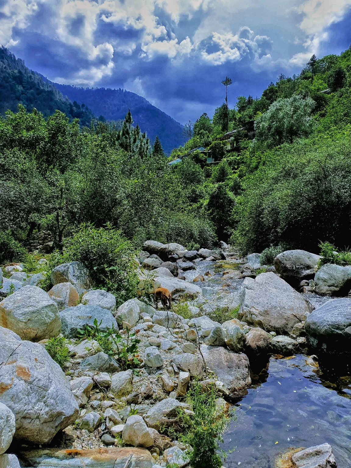 Photo of Gone Fishing Cottages By Lakshya Pawa