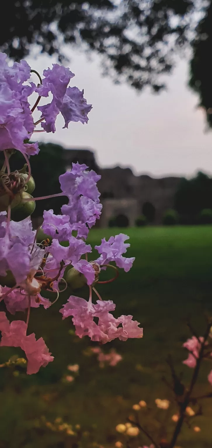 Photo of Purana Qila By Lakshya Pawa