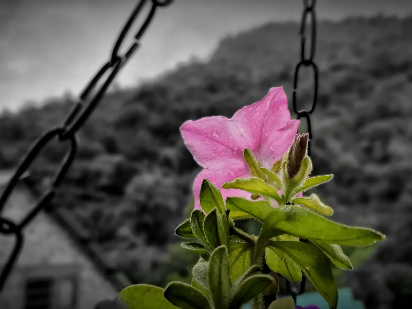 Photo of Tirthan Valley By Lakshya Pawa