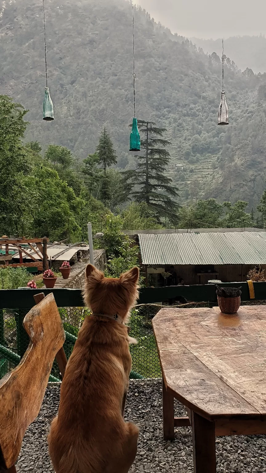 Photo of Tirthan Valley By Lakshya Pawa