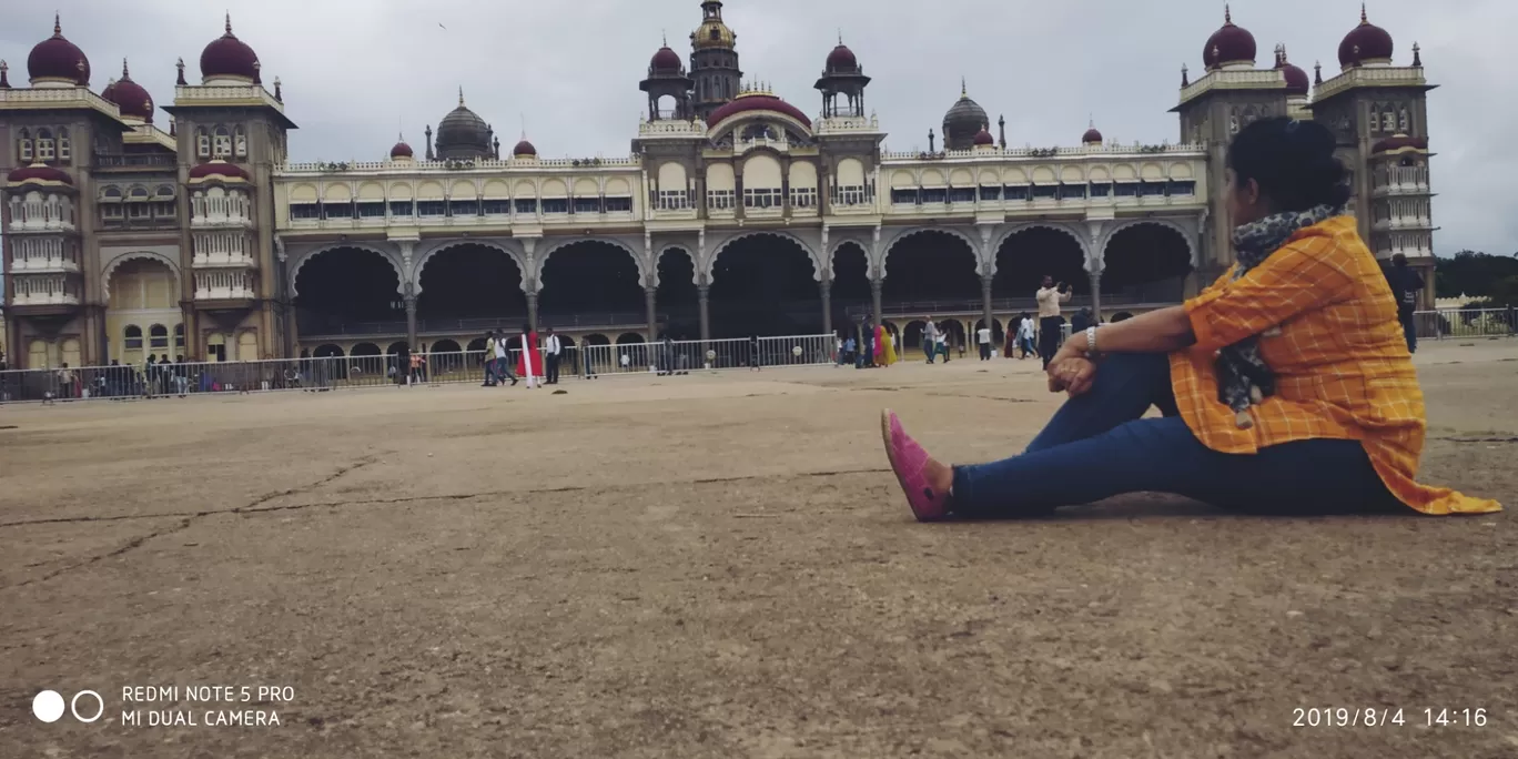 Photo of Mysore Palace By valsala shukla