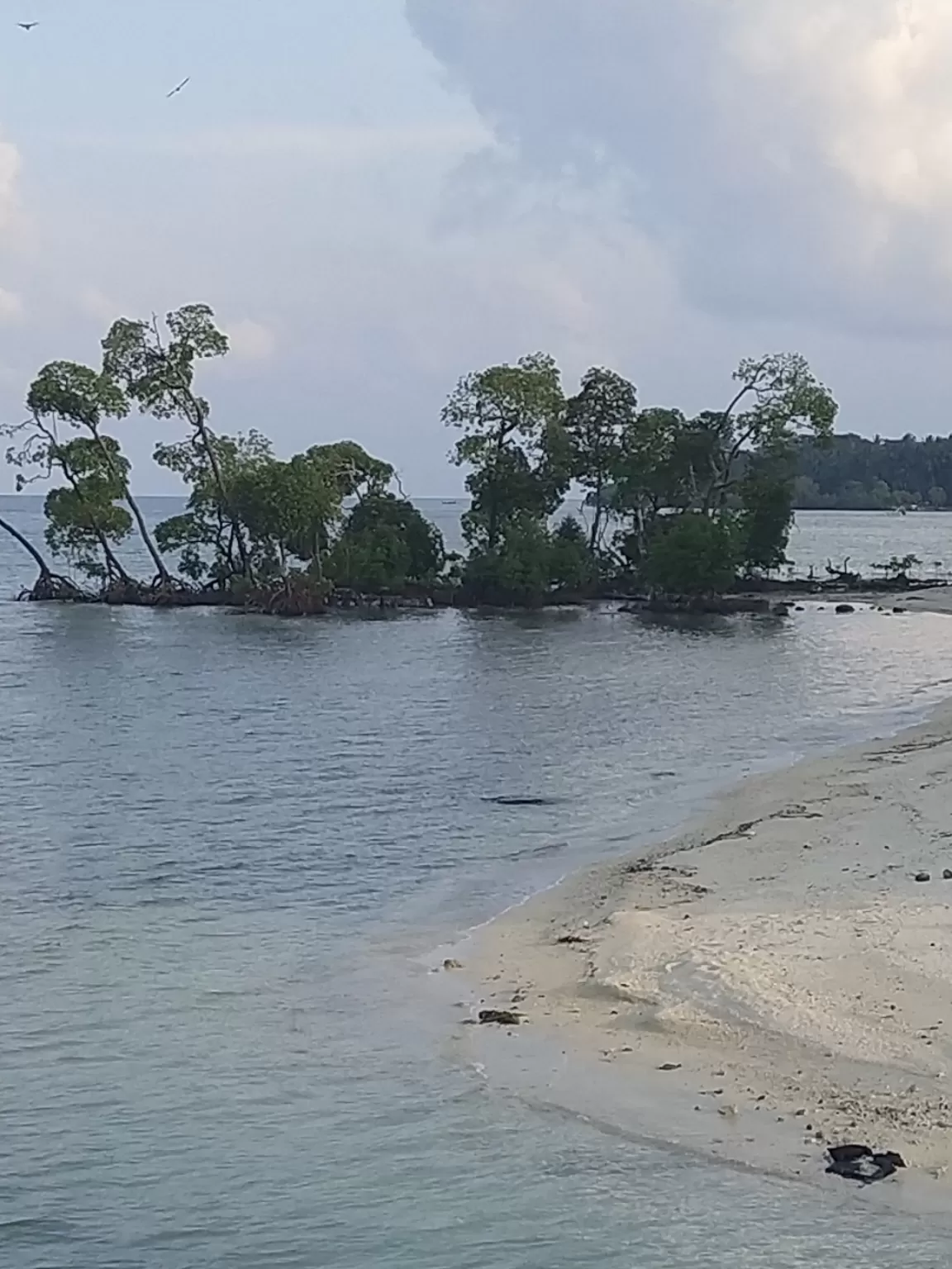 Photo of Andaman and Nicobar Islands By Neha@Travelrouter