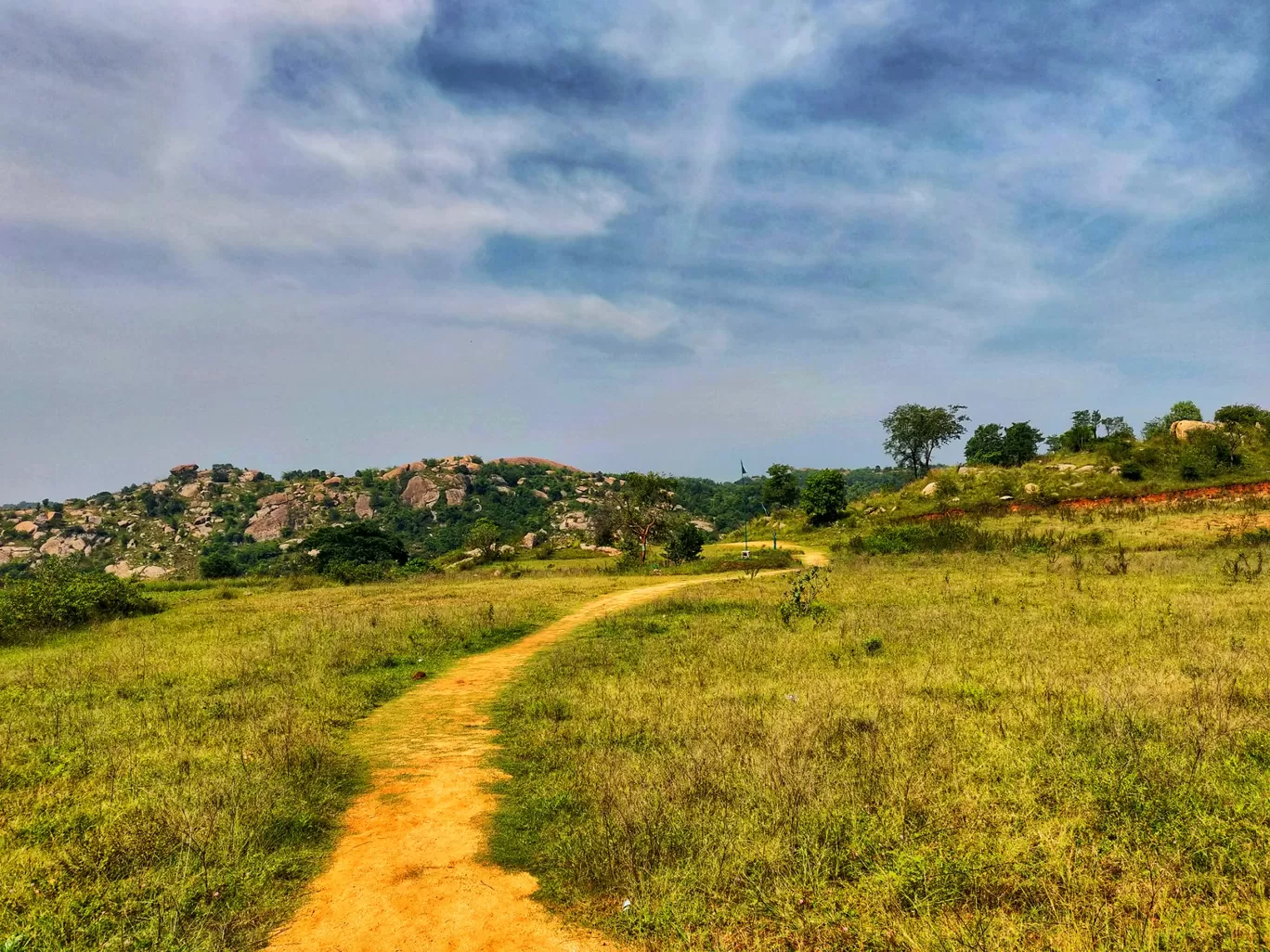 Photo of Dodda Aalada Mara By The Saiyan Prince