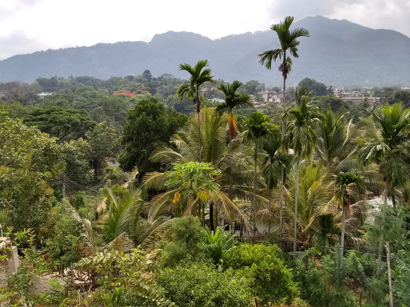 Photo of Matale By The Saiyan Prince