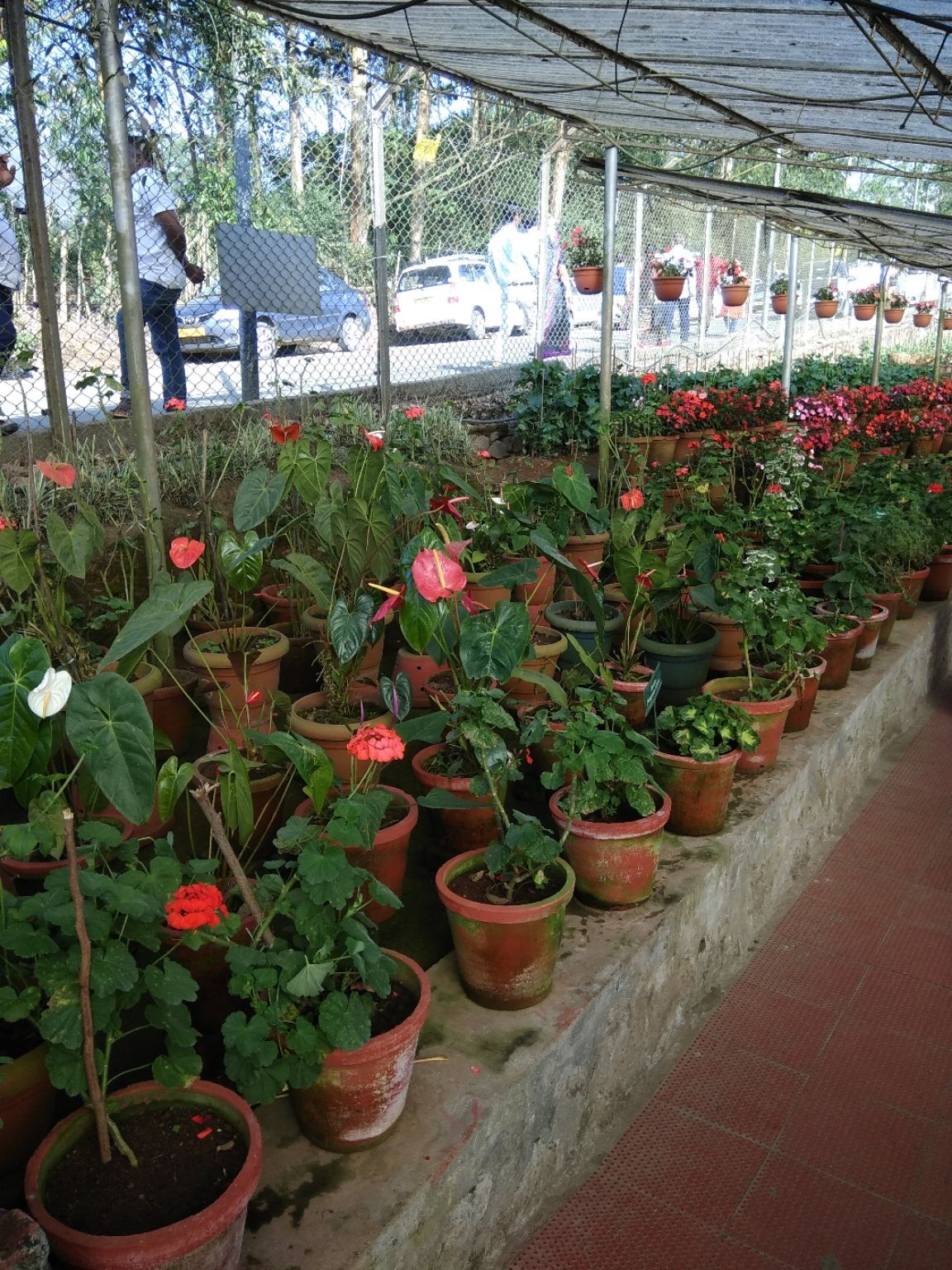 Photo of KFDC Floriculture Centre By Deepak Kashyap