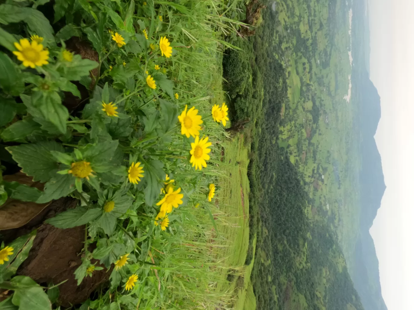 Photo of Harihar Fort By Bhupendra Singh