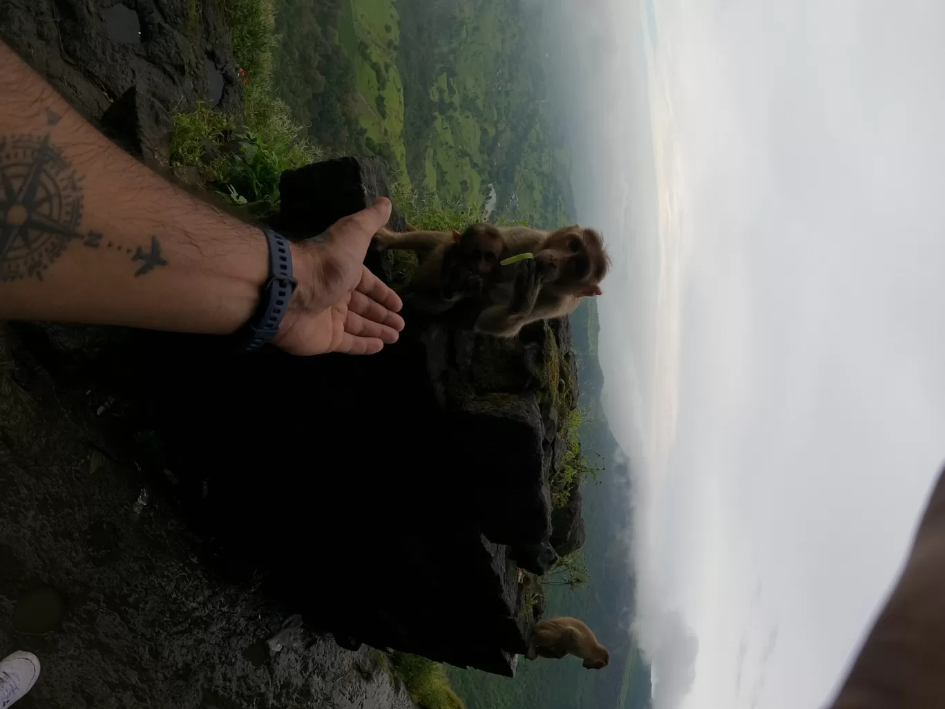 Photo of Harihar Fort By Bhupendra Singh