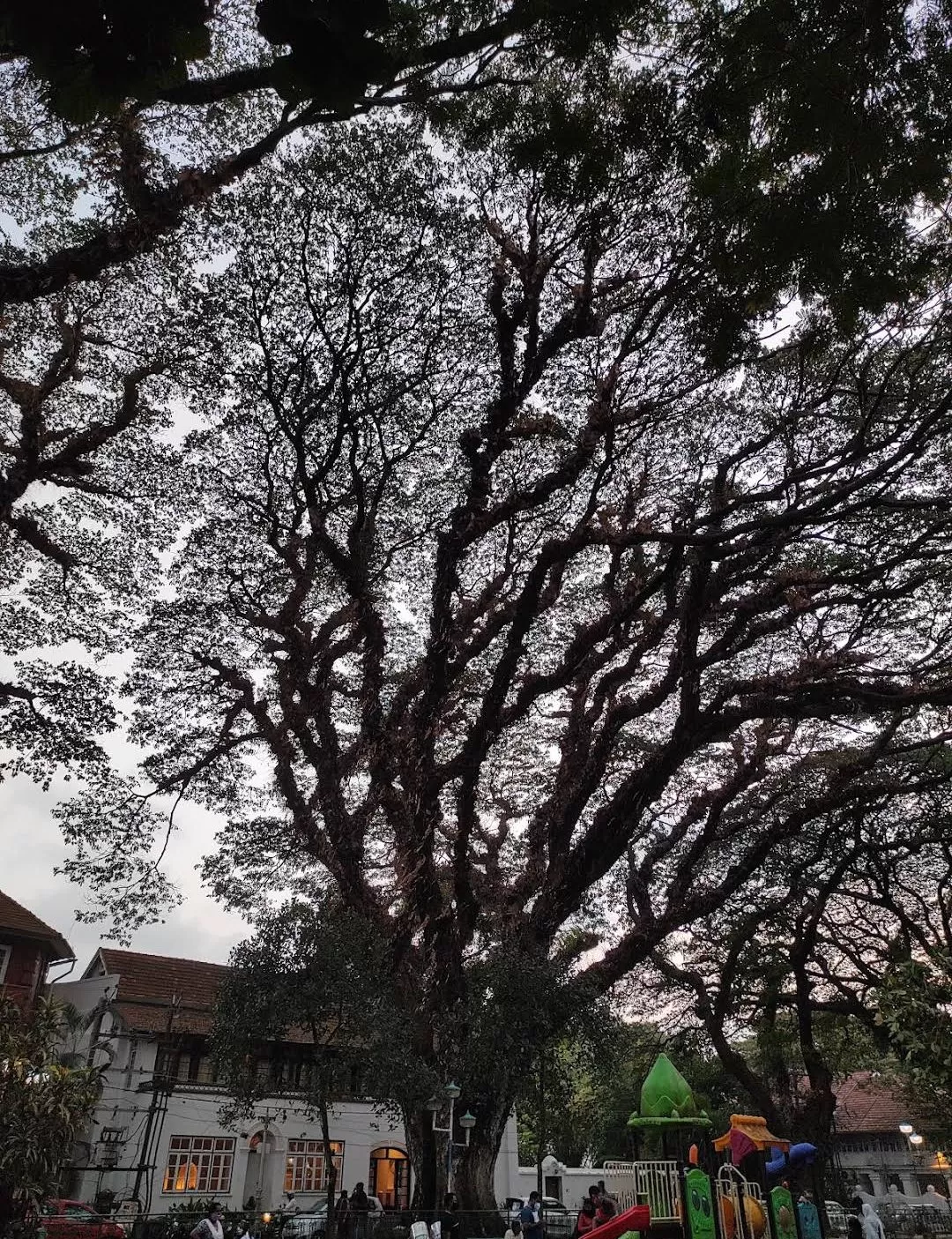 Photo of Fort Kochi By Yashrajsinh Chudasama
