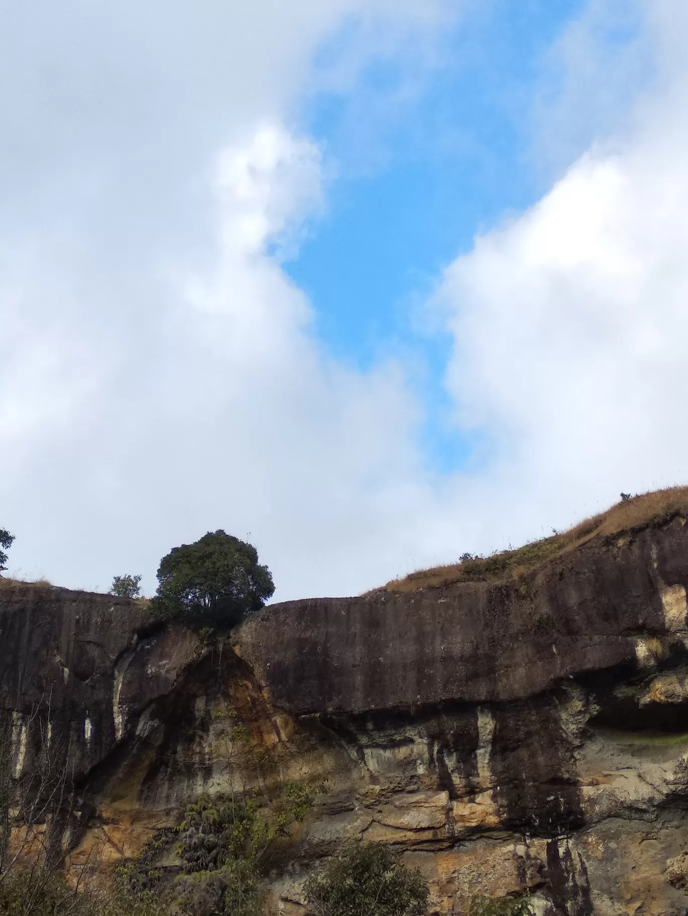 Photo of Mawphlang David Scott Trail(Guide contact number ).. By Madhumita Dutta