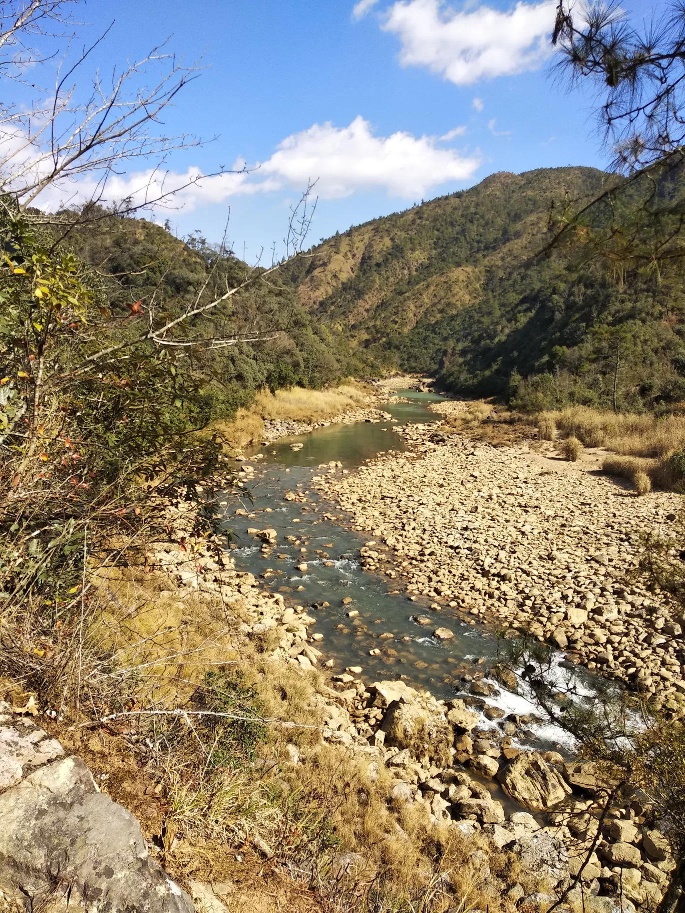 Photo of Mawphlang David Scott Trail(Guide contact number ).. By Madhumita Dutta