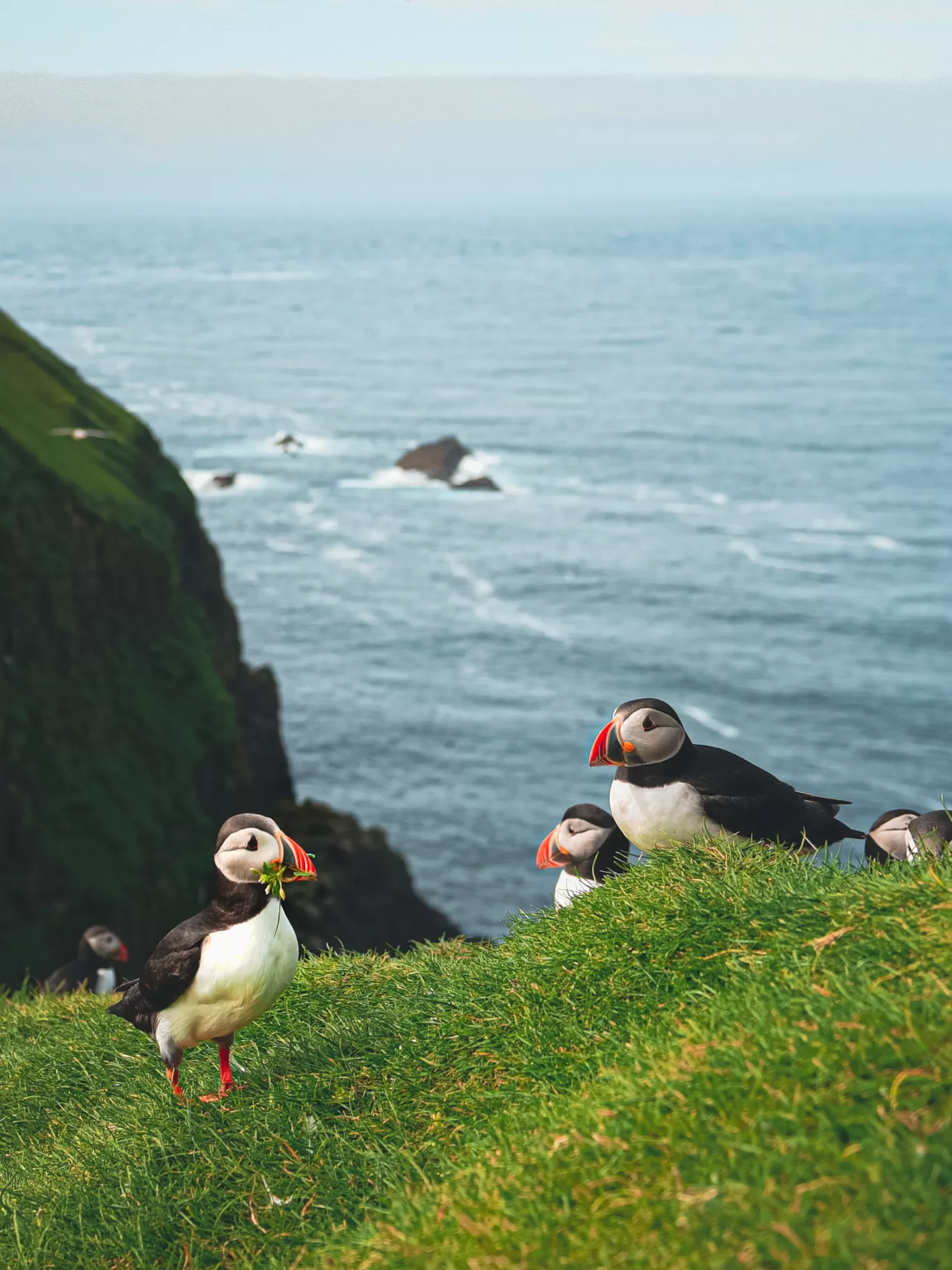 Photo of Faroe Islands By Trishnika Srija