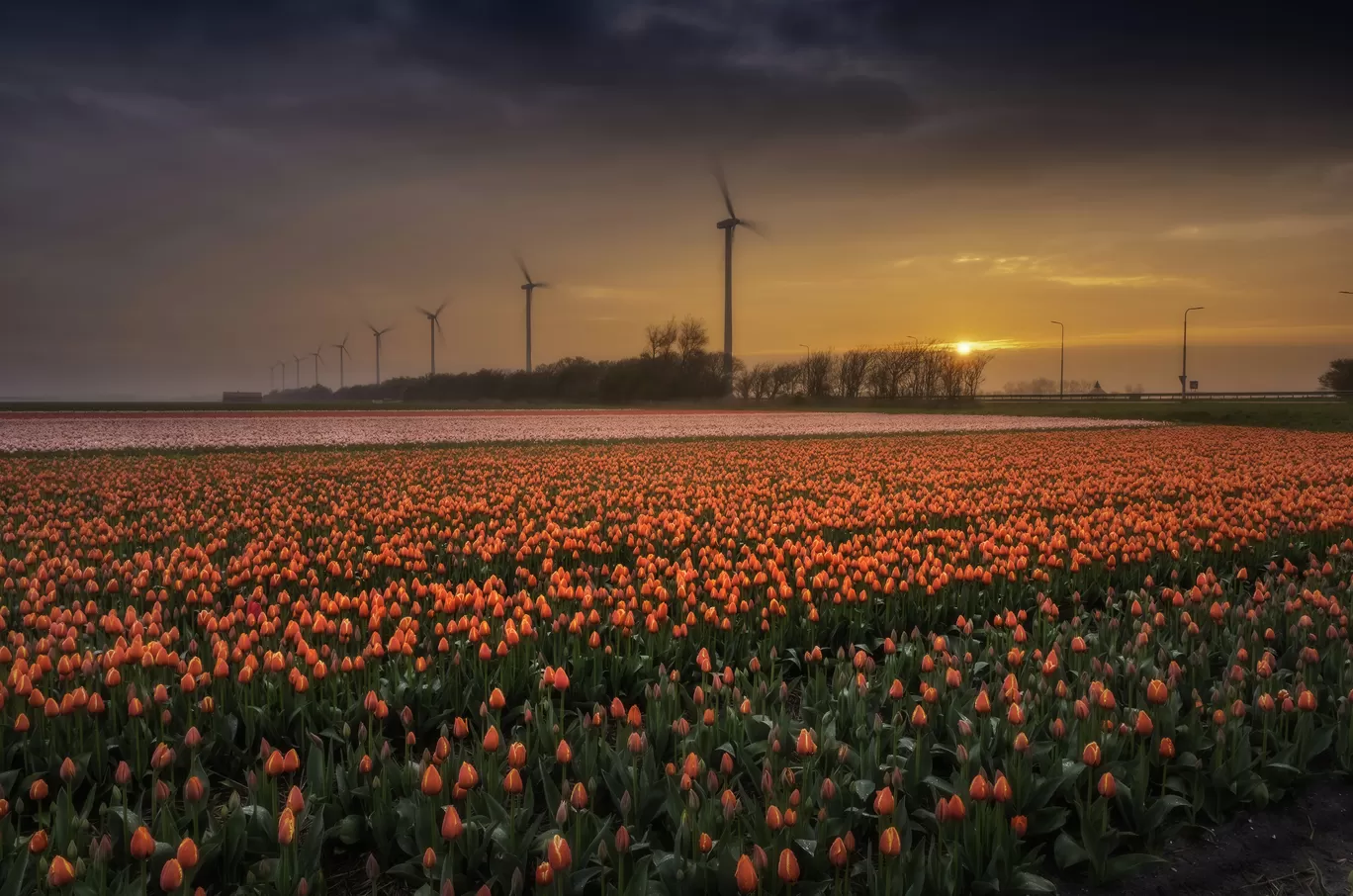 Photo of Netherlands By Abhishek Dey