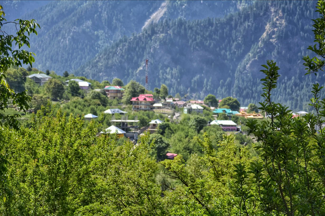 Photo of Sangla By nishesh kumar