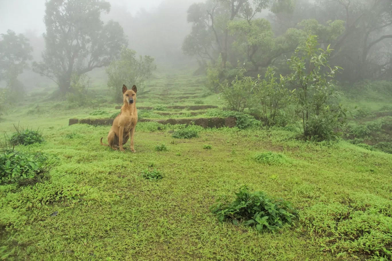 Photo of Matheran By Abhijeet Sawant