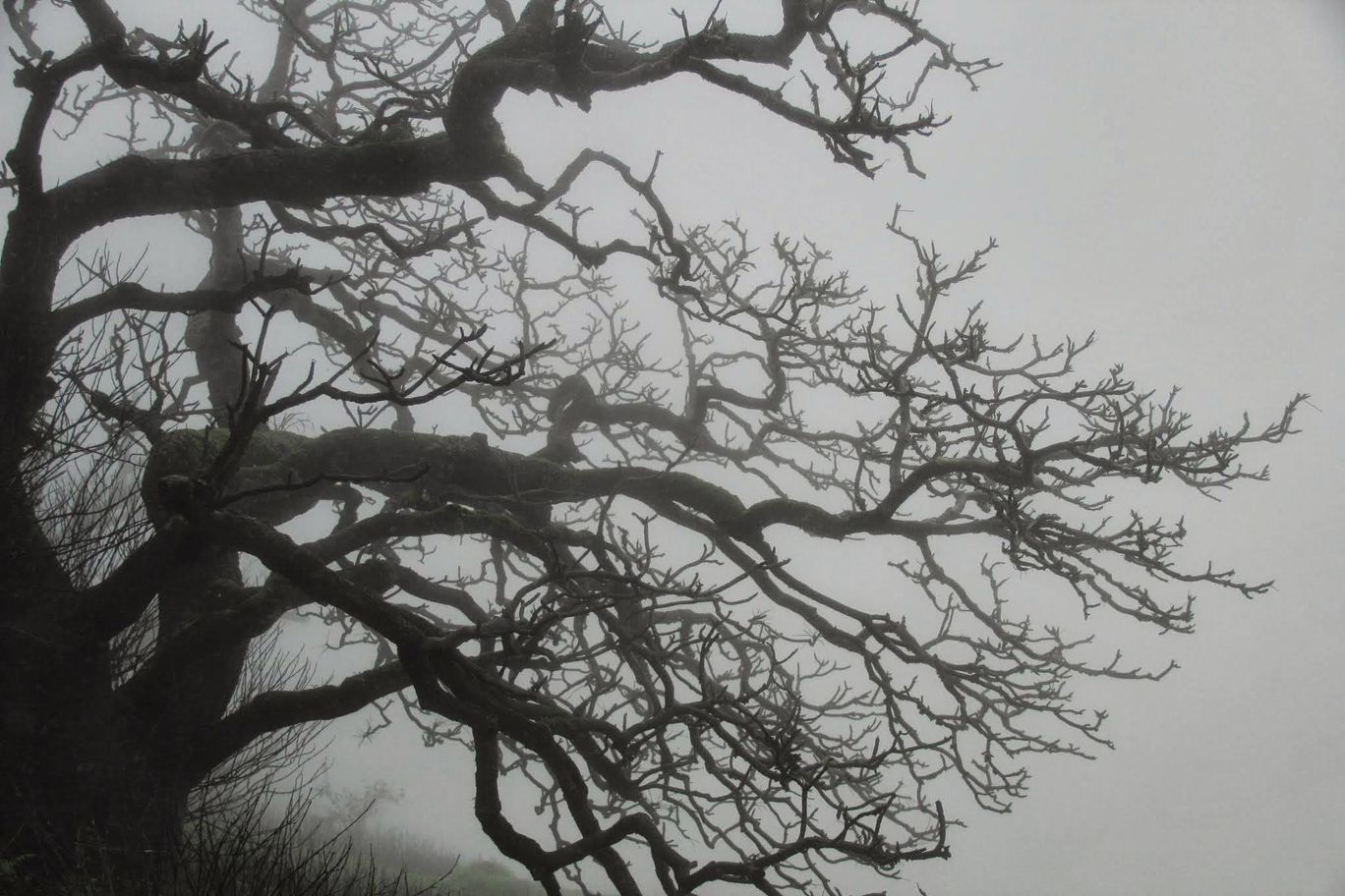 Photo of Matheran By Abhijeet Sawant