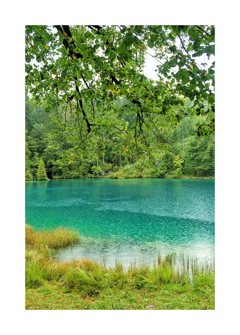 Photo of Blausee By Aneesh Achuthan