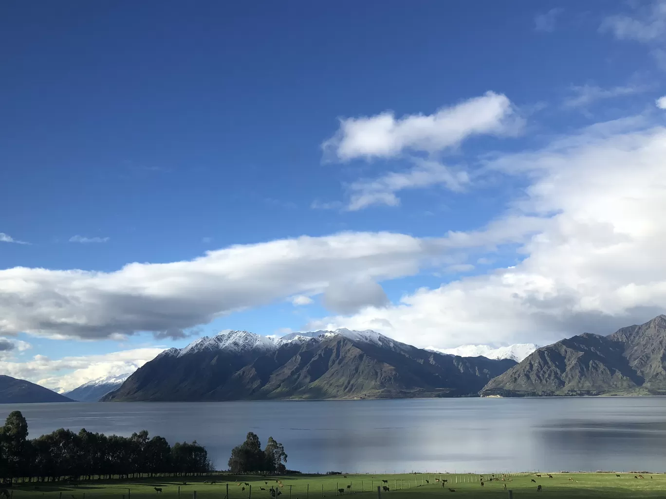 Photo of New Zealand By kashmira mhatre