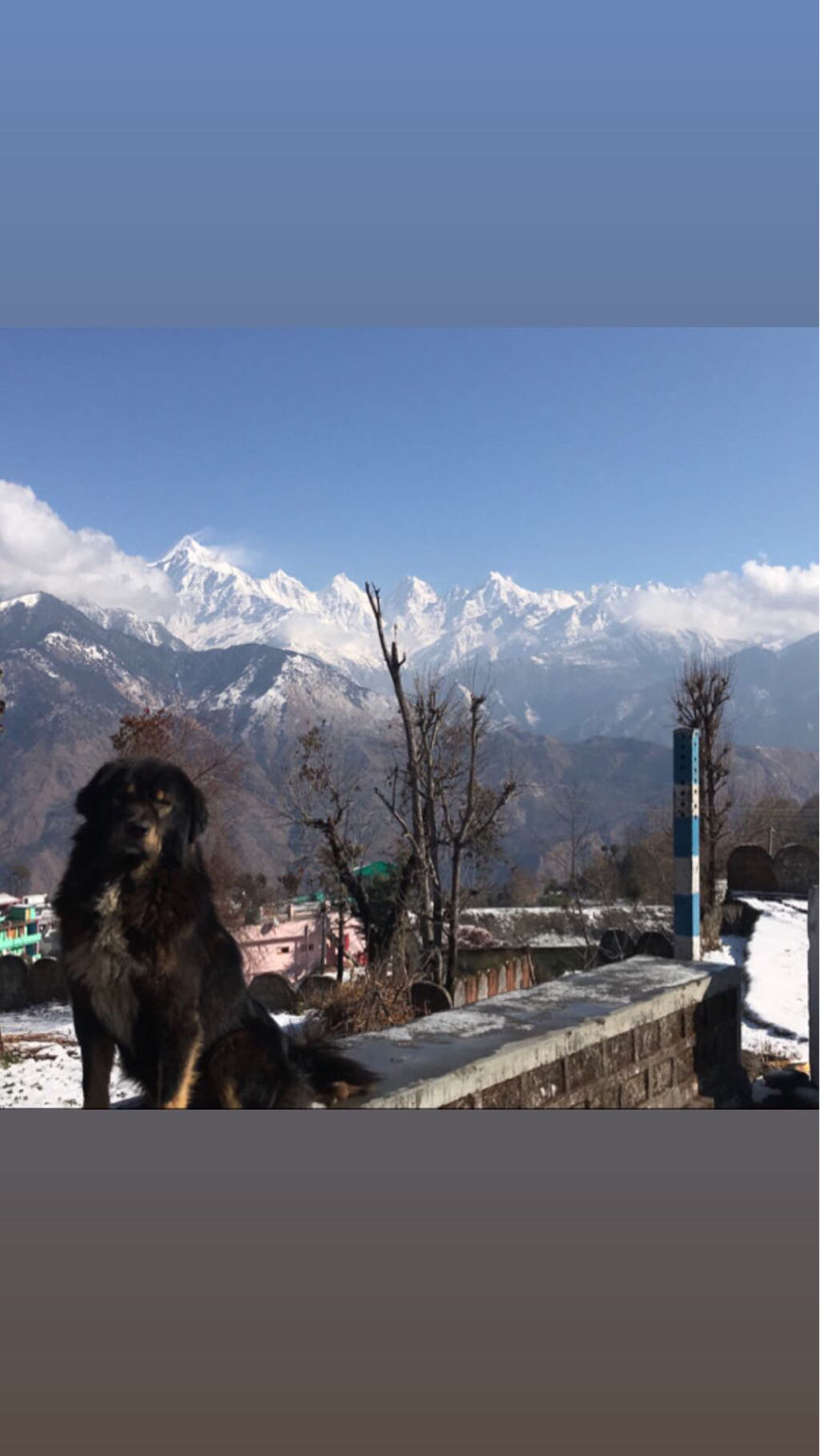 Photo of Winter Trip To Munsiyari, Uttarakhand By Nityananda Mukherjee