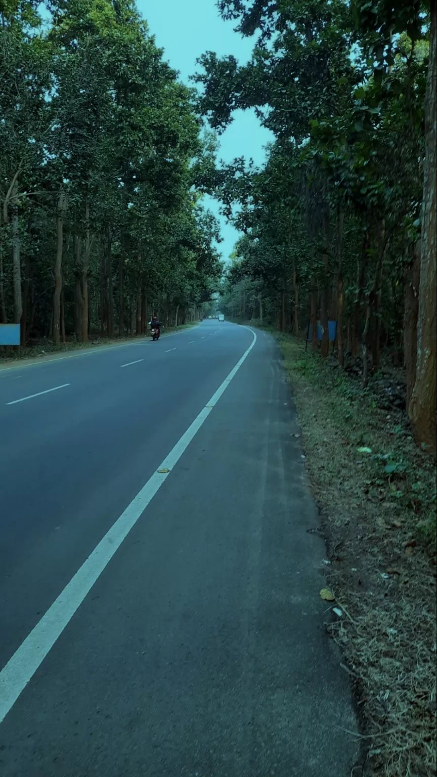 Photo of Joypur Forest জয়পুর জঙ্গল By Thetravelcoholic