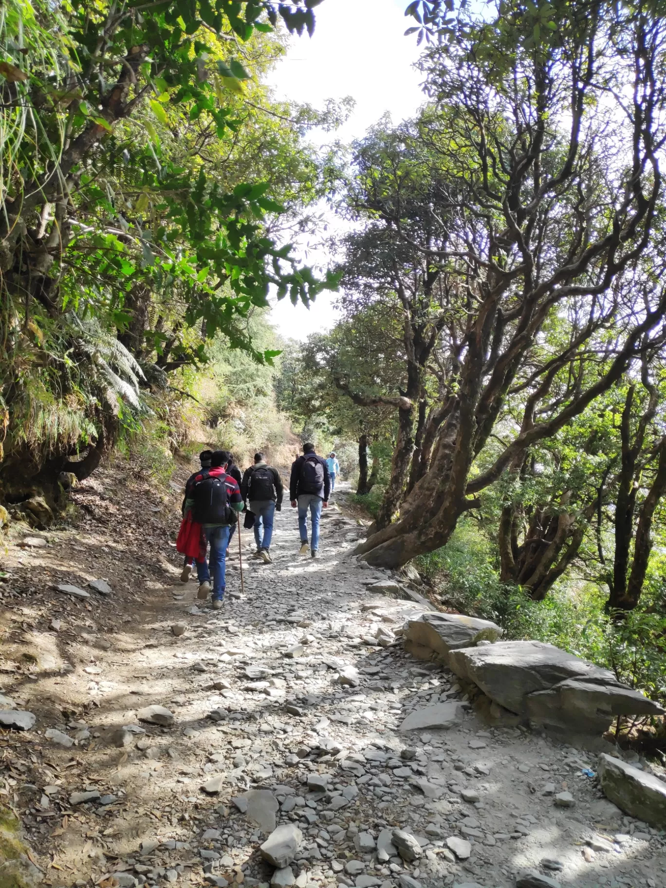 Photo of Dharamshala By Shivam Dubey