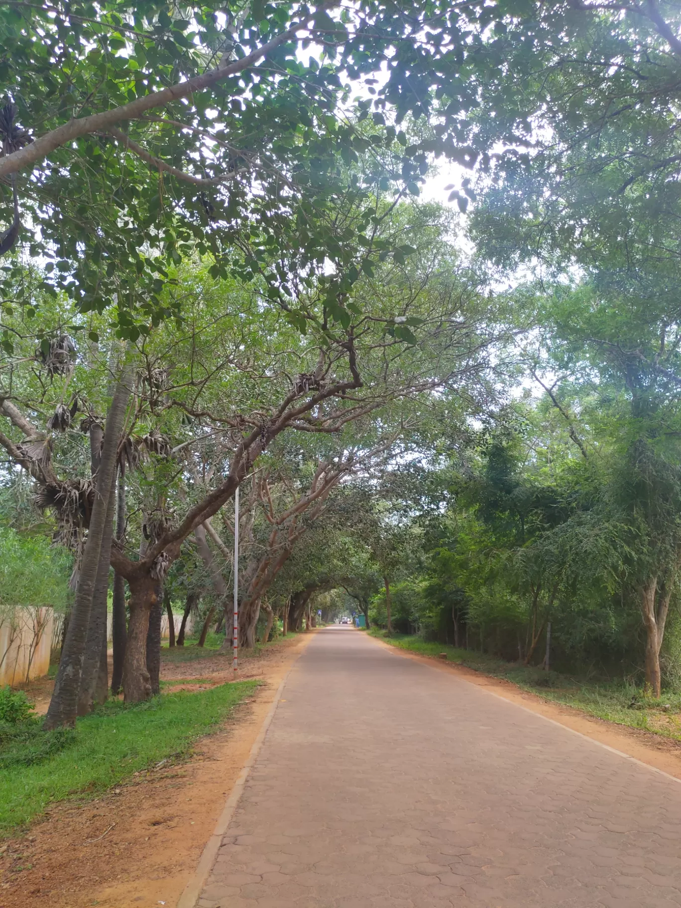 Photo of Auroville By NomadicSaga