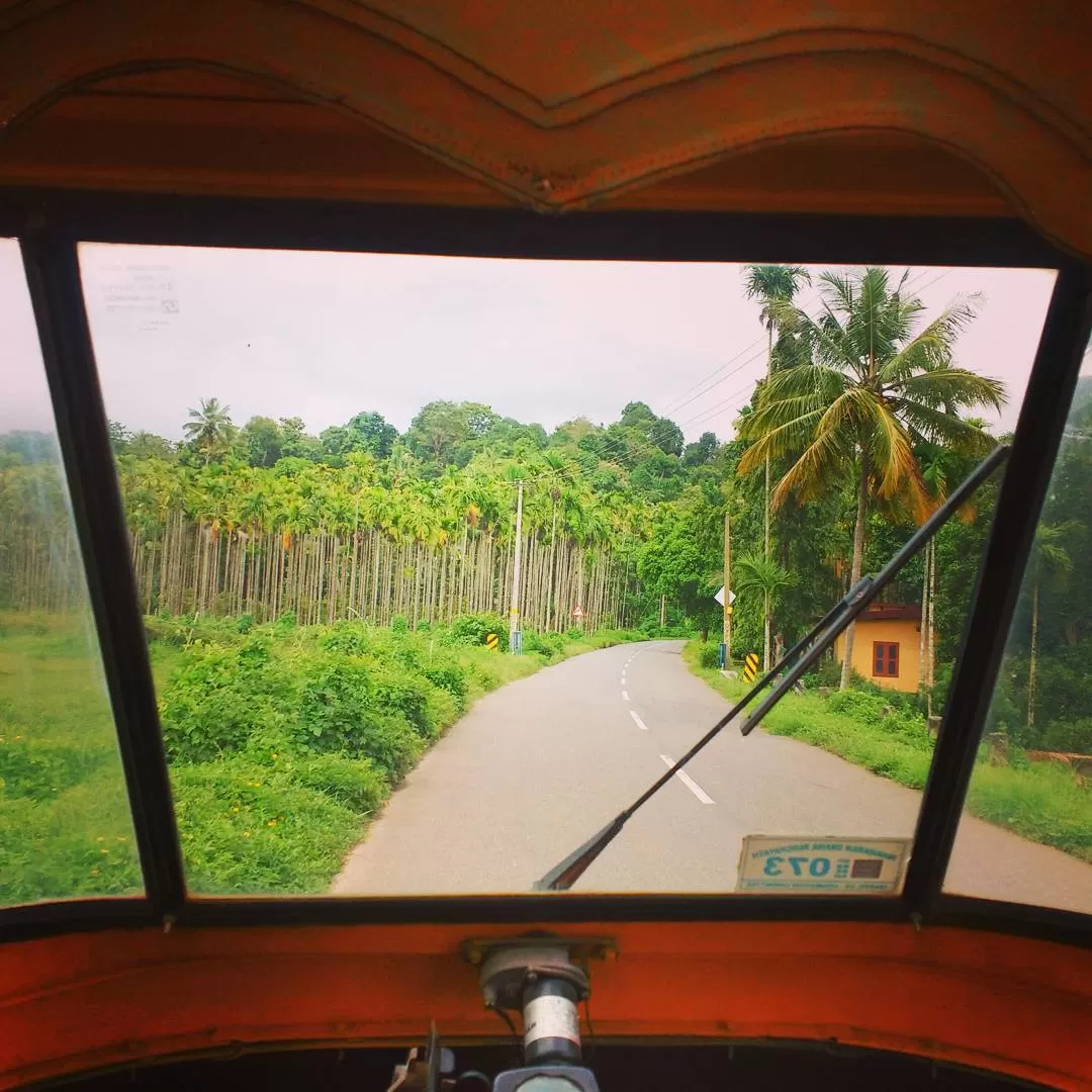 Photo of Wayanad By Radhey Krish
