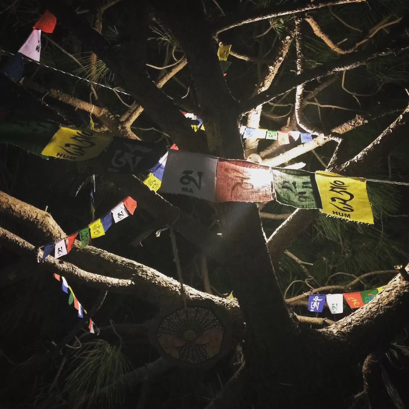 Photo of McLeod Ganj By sa chin