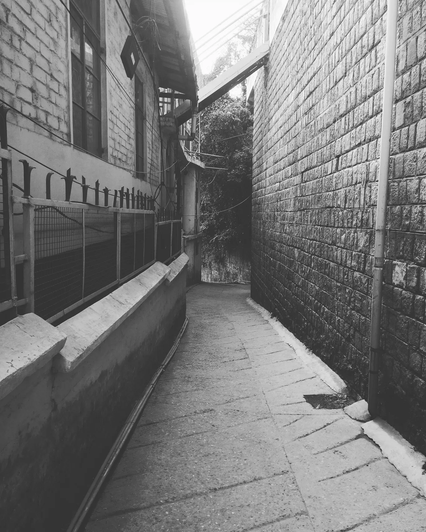 Photo of McLeod Ganj By sa chin
