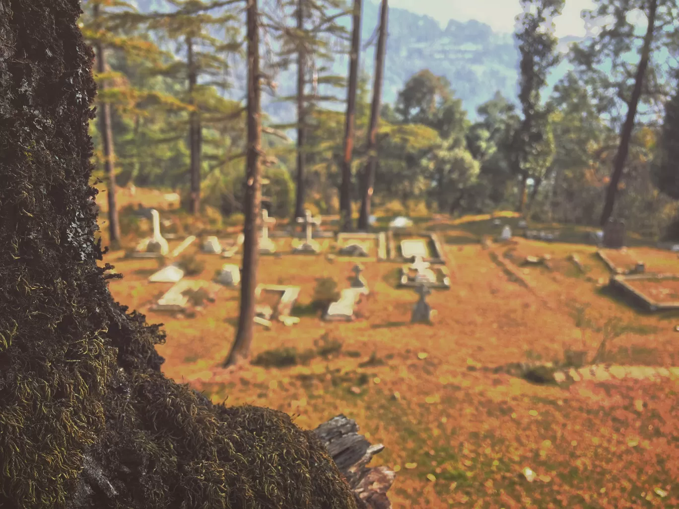 Photo of McLeod Ganj By sa chin