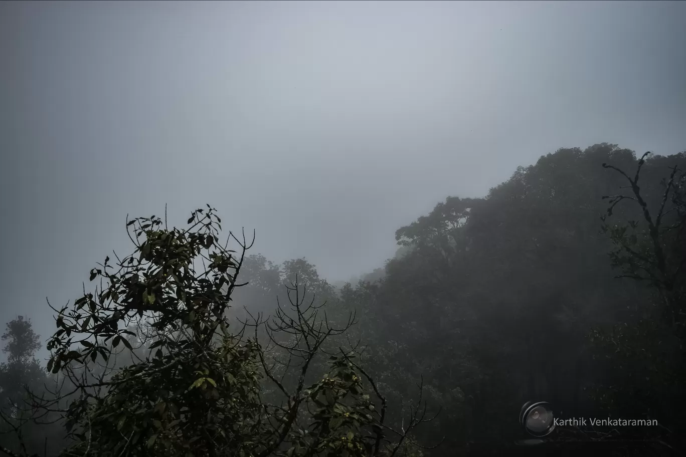 Photo of Wayanad By Karthik Venkataraman