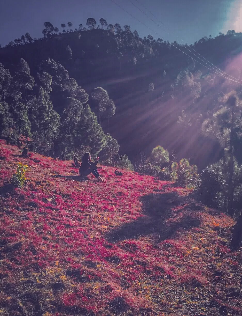 Photo of Mukteshwar By Prachi Sharma 