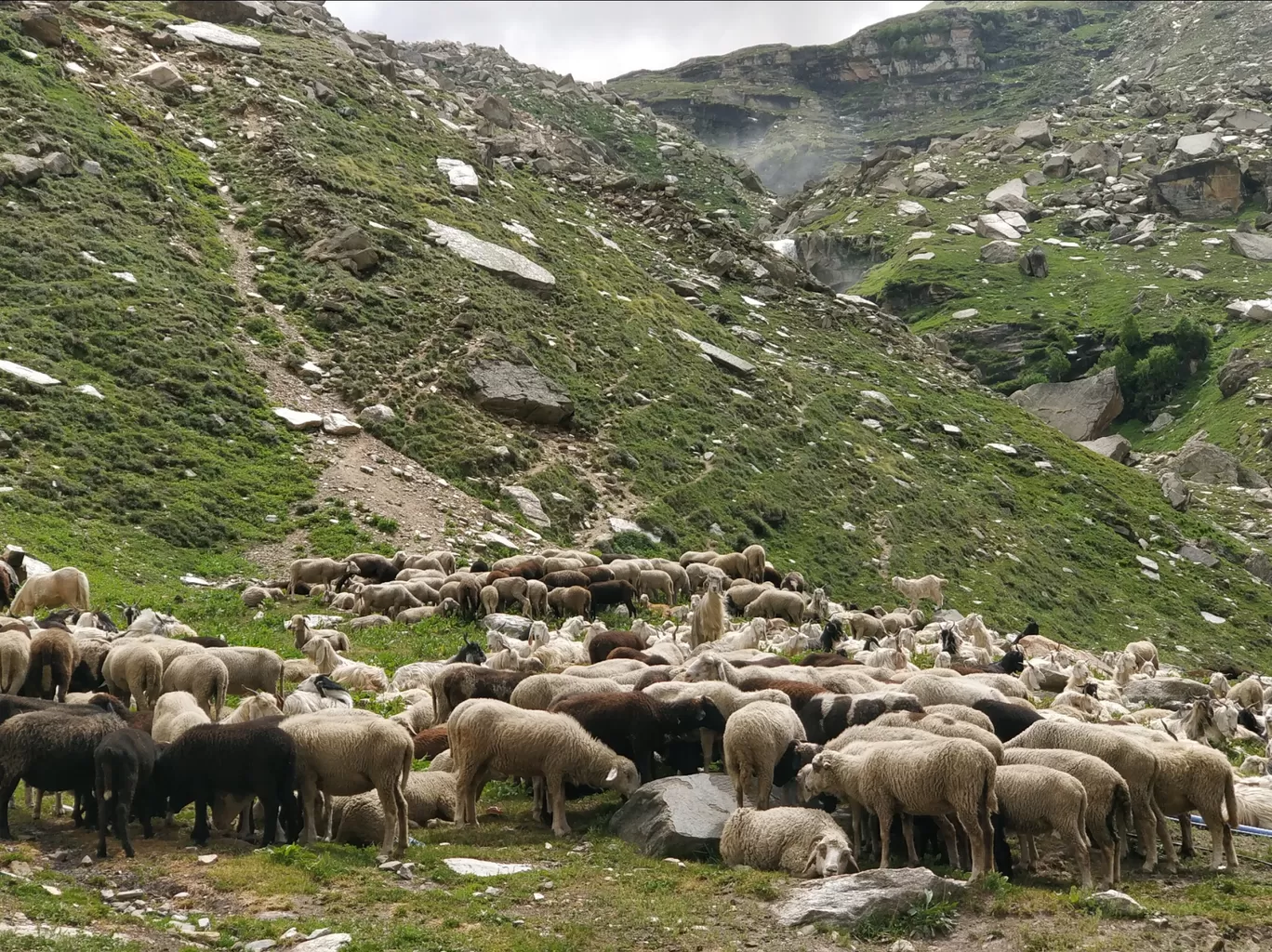 Photo of Leh Manali Highway By shashank polasi