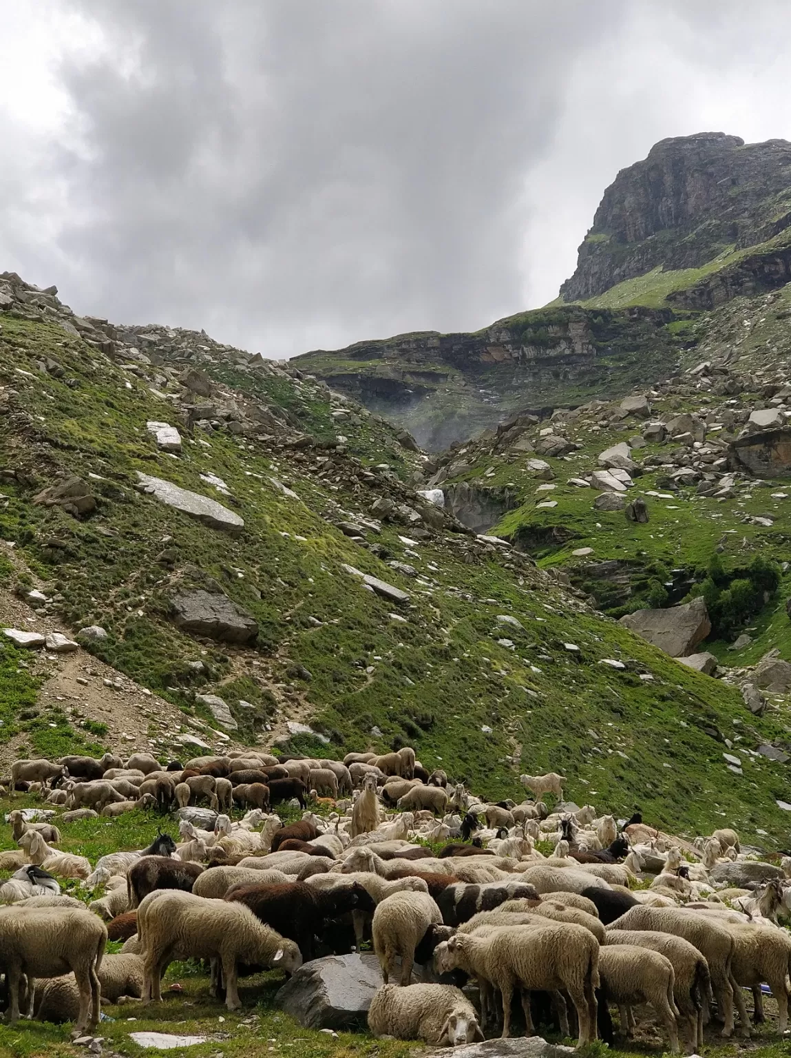 Photo of Leh Manali Highway By shashank polasi