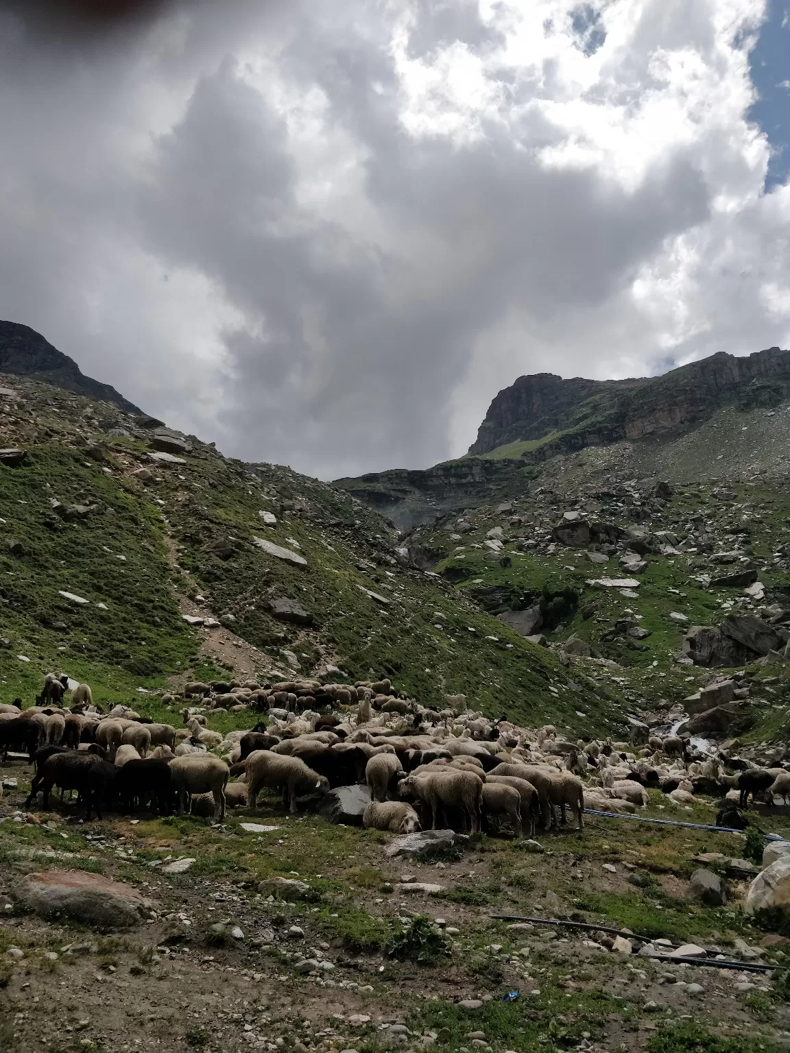 Photo of Leh Manali Highway By shashank polasi