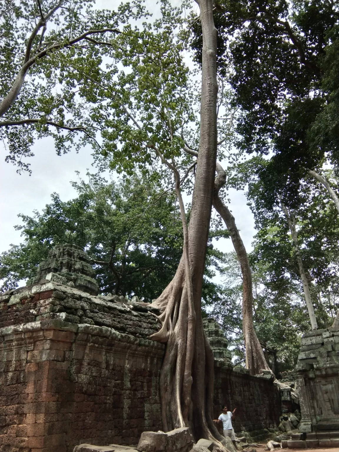 Photo of Ta Prohm Temple By Shipra Gupta