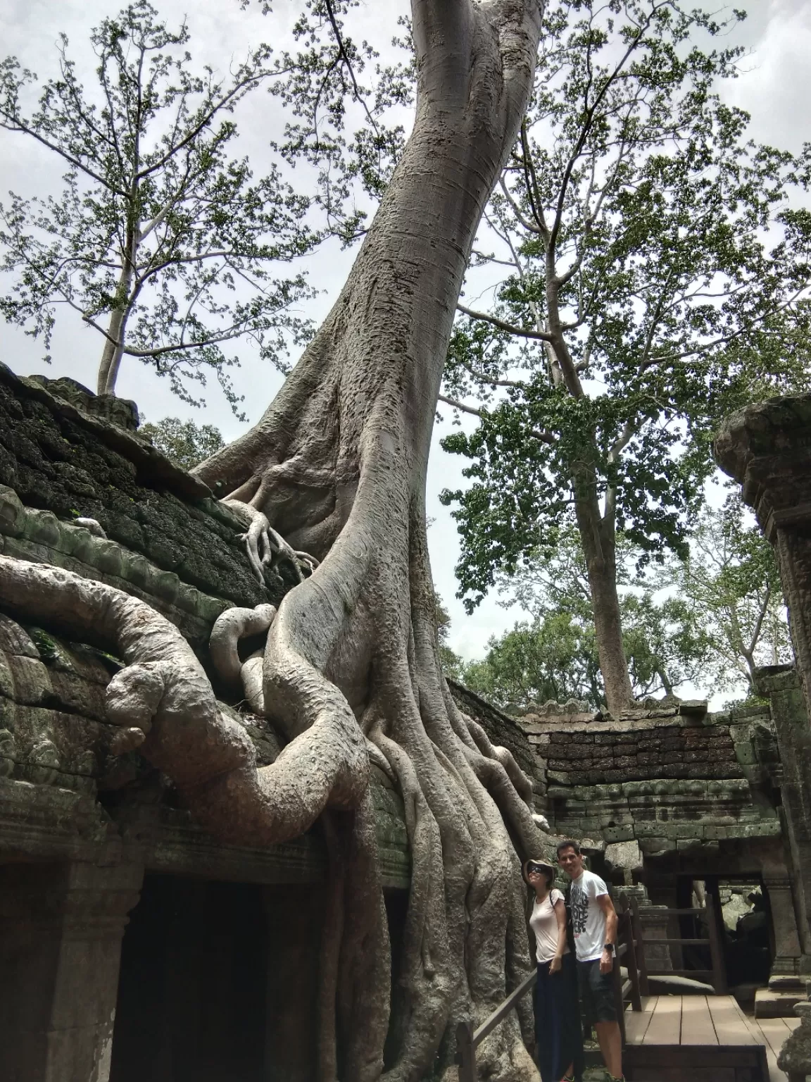 Photo of Ta Prohm Temple By Shipra Gupta