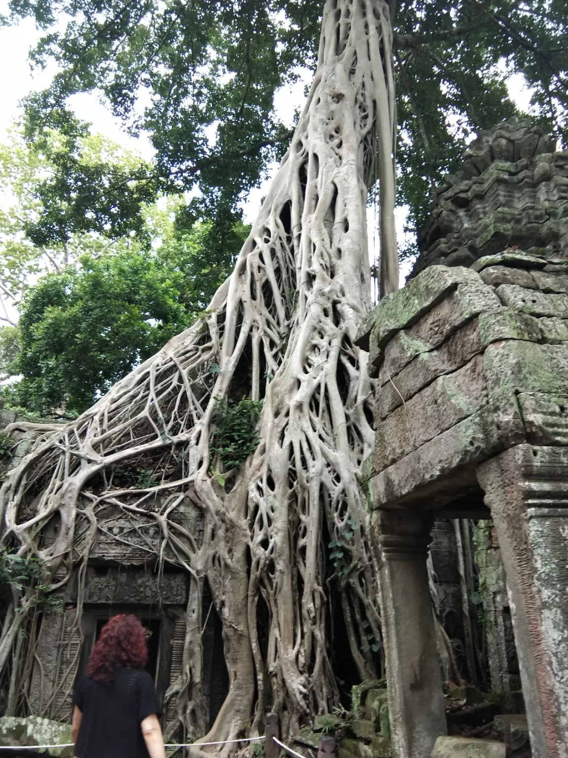 Photo of Ta Prohm Temple By Shipra Gupta