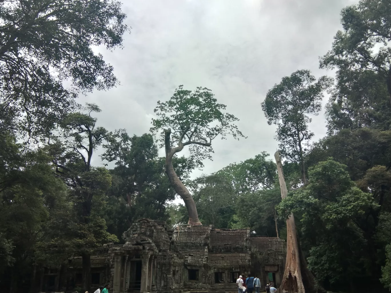 Photo of Ta Prohm Temple By Shipra Gupta