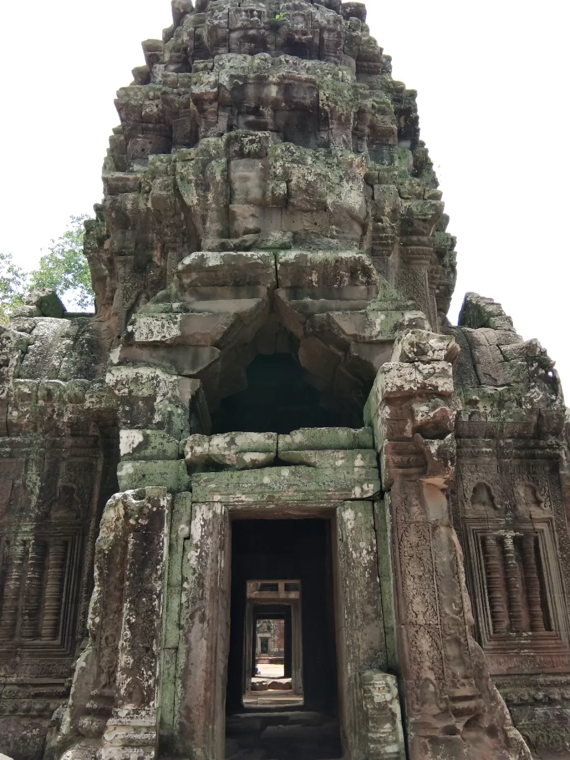 Photo of Ta Prohm Temple By Shipra Gupta