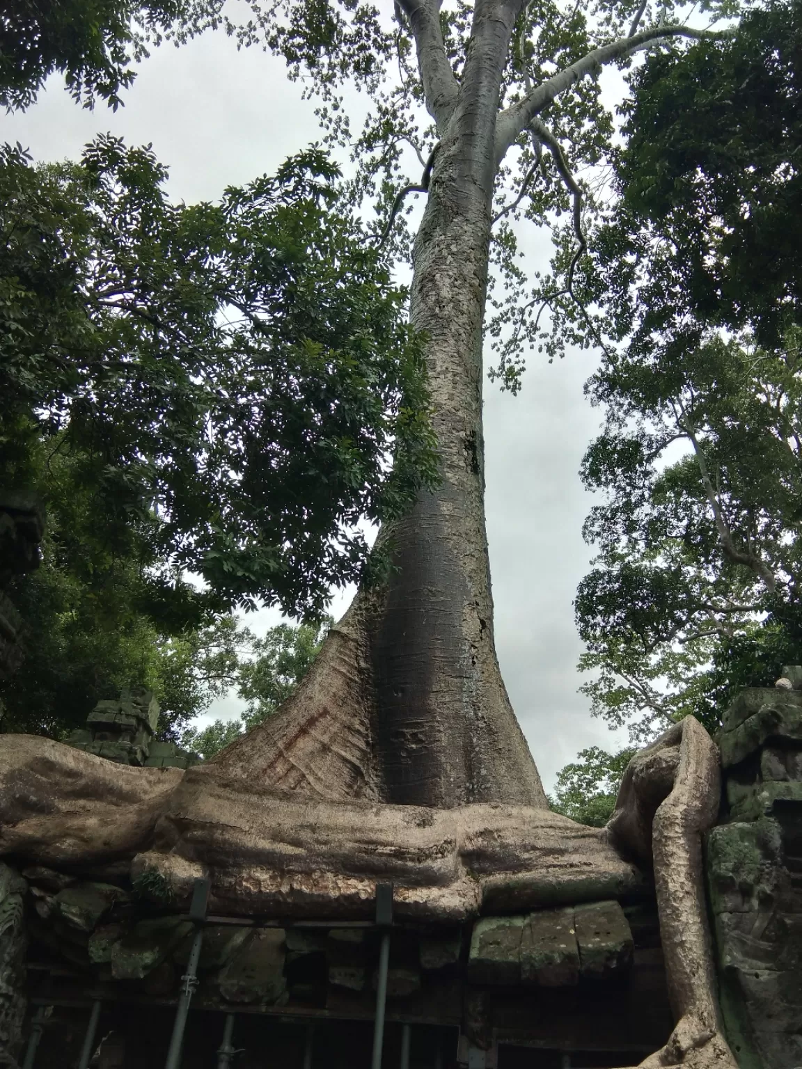 Photo of Ta Prohm Temple By Shipra Gupta