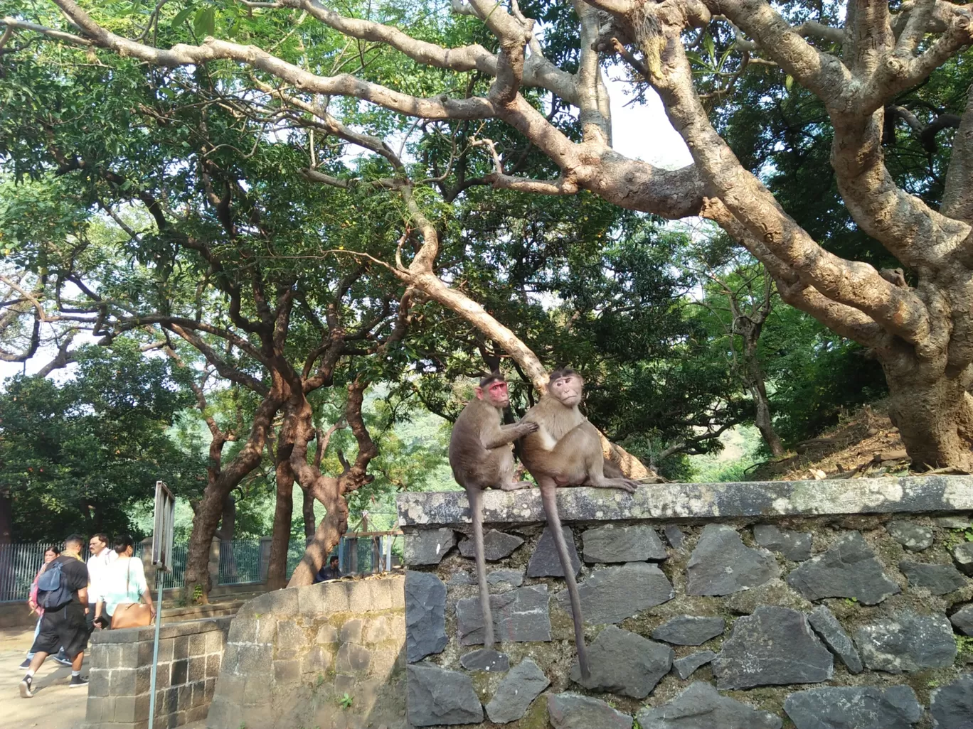 Photo of Elephanta Caves By Flying bird 