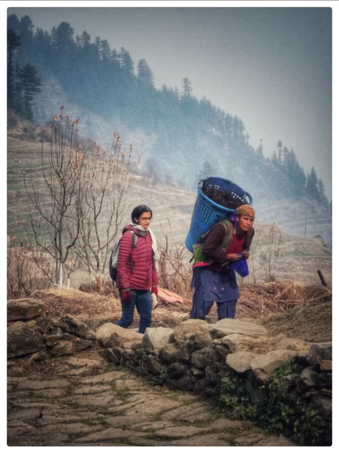 Photo of Sunshine Himalayan Cottages By Panki Sood