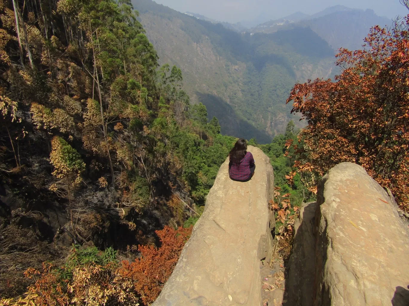 Photo of Dolphin Nose By Anmol Malhotra