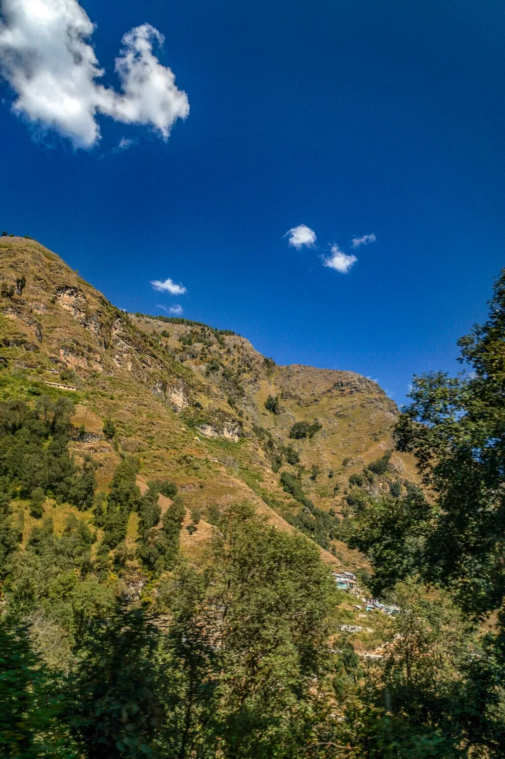 Photo of Road trip to Chakrata and Mori By DBATG 