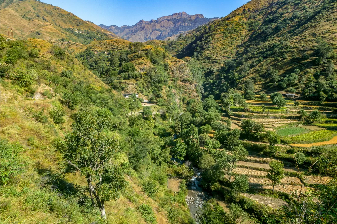 Photo of Road trip to Chakrata and Mori By DBATG 
