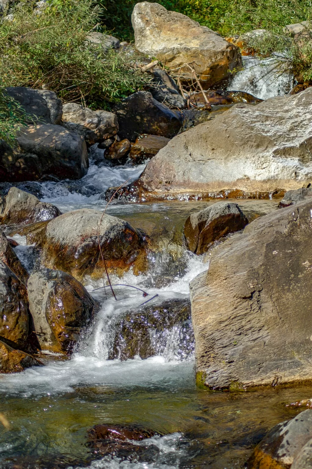 Photo of Road trip to Chakrata and Mori By DBATG 
